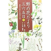 折々の花たち-野の美術館: 外山康雄水彩画集 | 外山 康雄 |本 | 通販